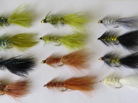 Woolly Bugger Pack