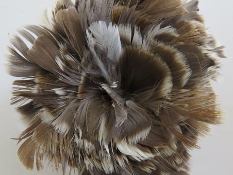 Grey Goose Strung Feathers Bulk
