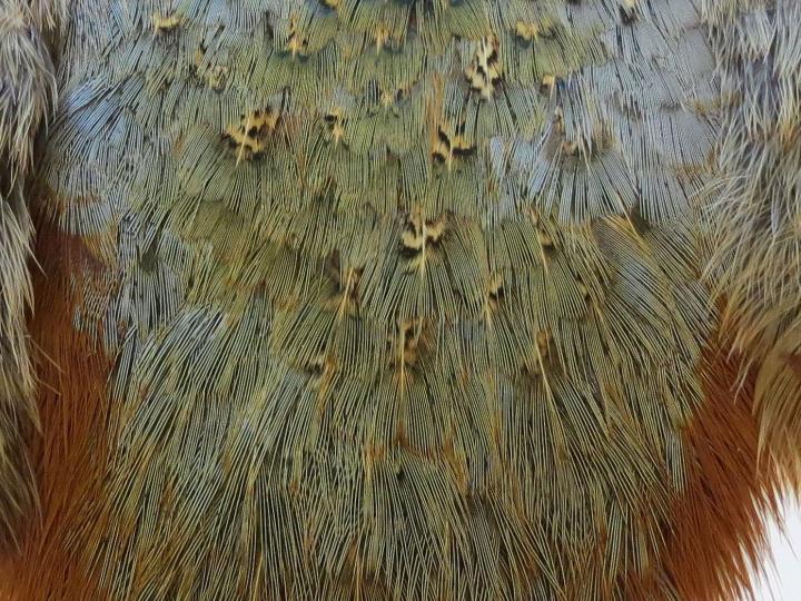 Olive and Bronze Feathers Layered