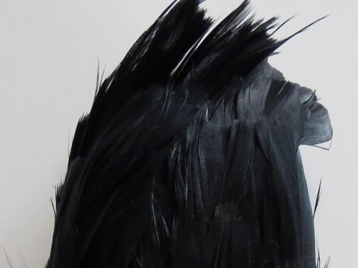 Black Nagorie Strung Feathers Bulk