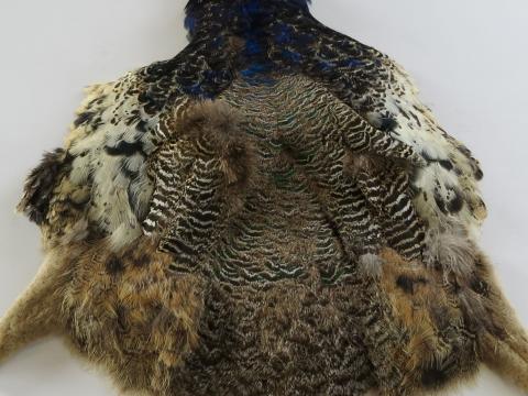 Juvenile Peacock Pelt