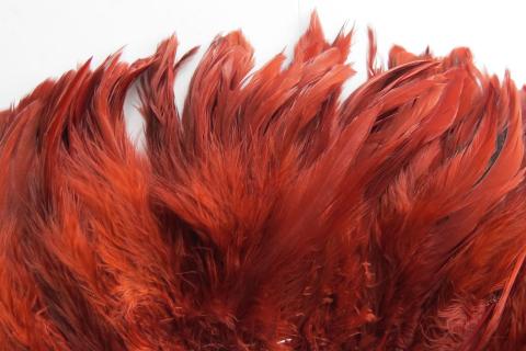 Burnt Orange Rooster Schlappen Feathers