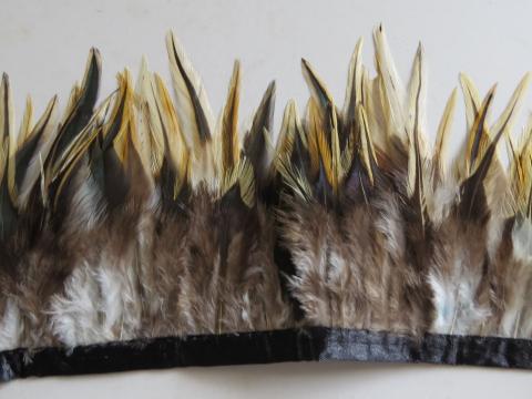 Badger saddle banded feathers