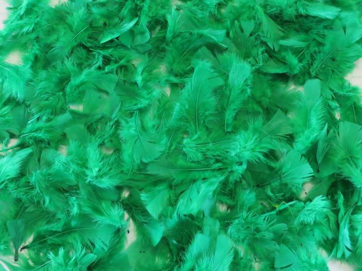 Green Turkey Plumage Bulk