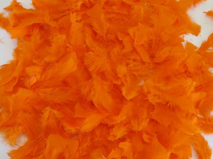 Orange Turkey Plumage Bulk