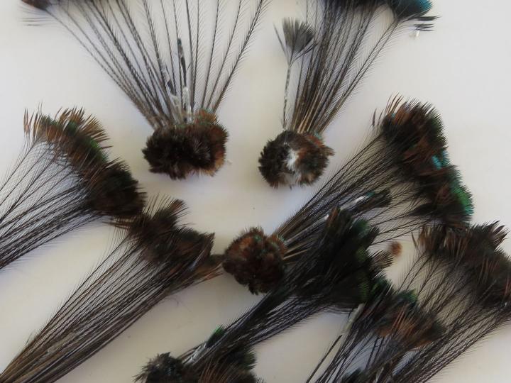 Peahen Crest Feathers Bulk