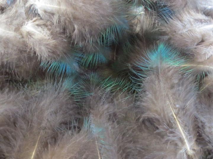 Splayed Tip Emerald Green Feathers Bulk