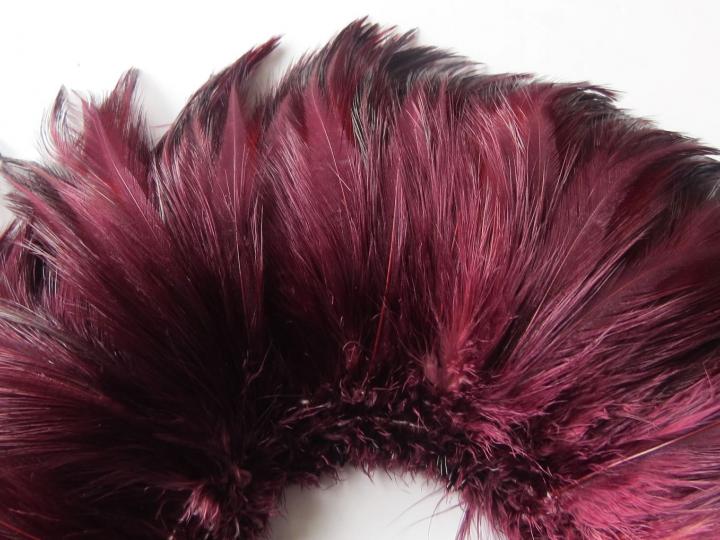 Boysenberry Rooster Hackle Strung Feathers Closeup