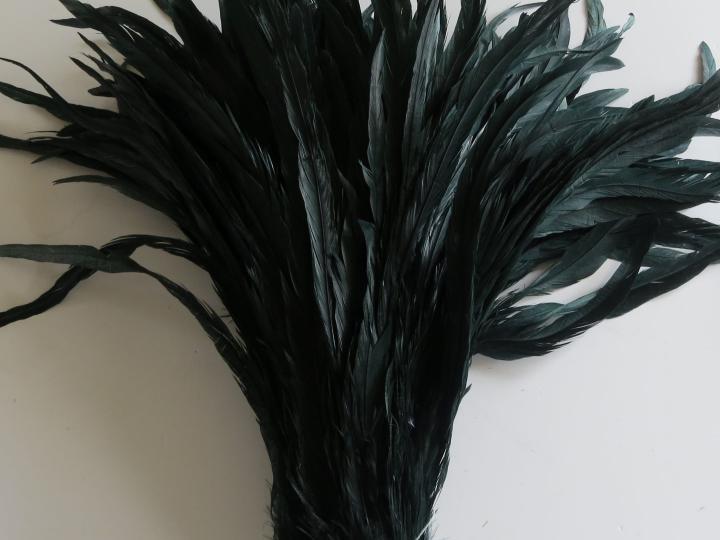 Emerald Green Rooster Tail Feathers Bulk