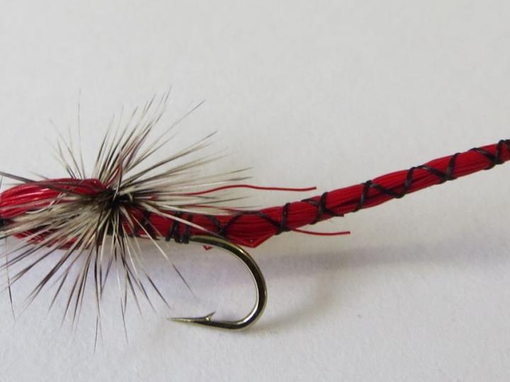 Red Damsel Dry Fly