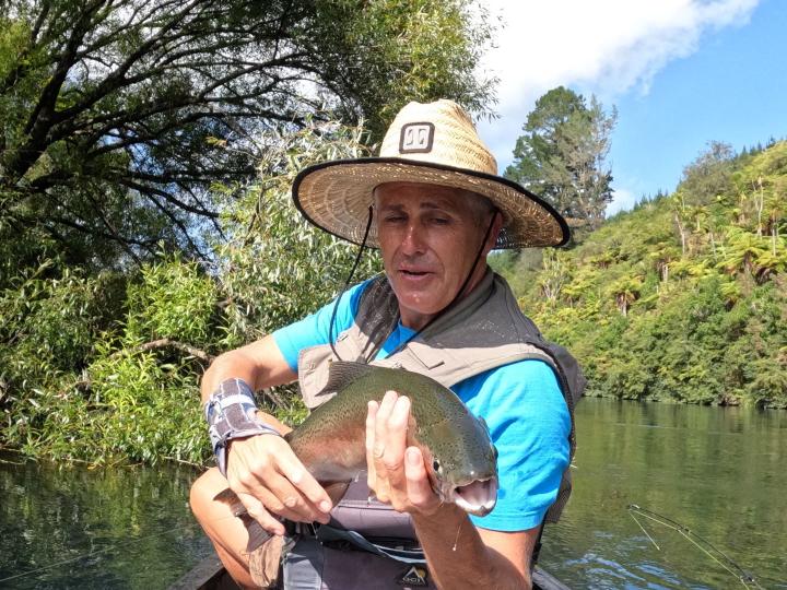 Rainbow on a Goddard Caddis