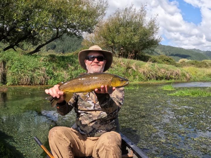 Spring Creek Brown Trout
