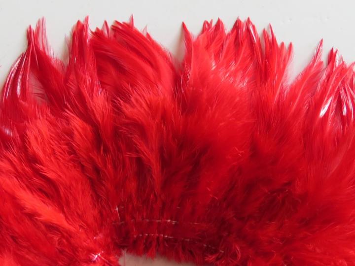Red Saddle Strung Feathers Closeup