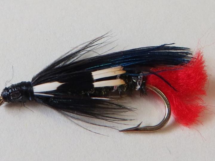 Craig's Night Time Streamer Fly