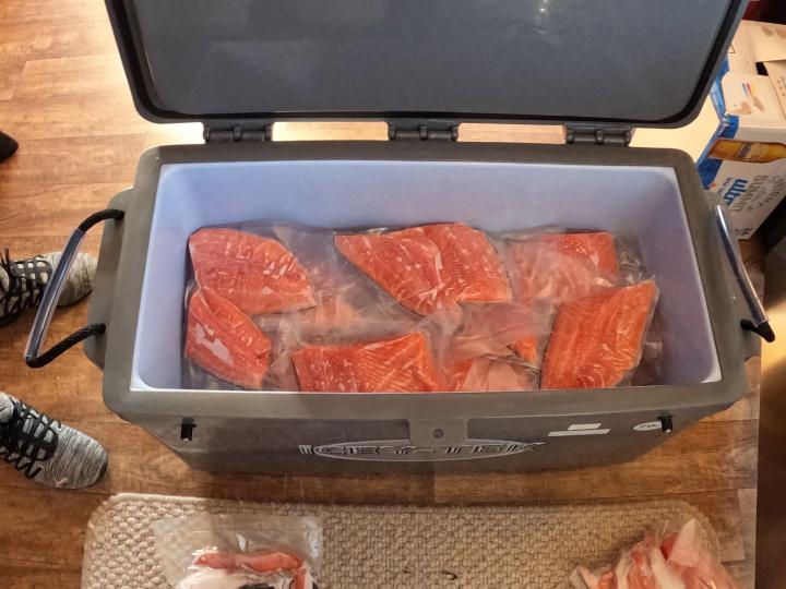 Salmon fillets for the freezer