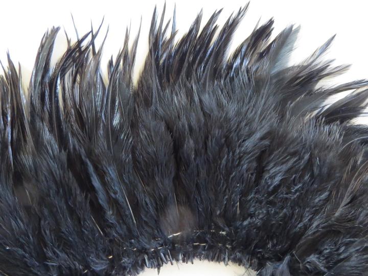 Black Rooster Saddle Feathers Closeup