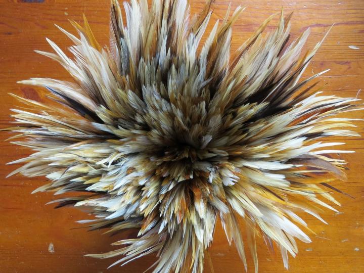 Ginger Hackle Strung Feathers Bulk