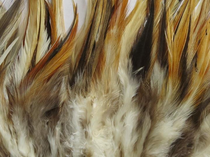 Ginger Hackle Strung Feathers Closeup