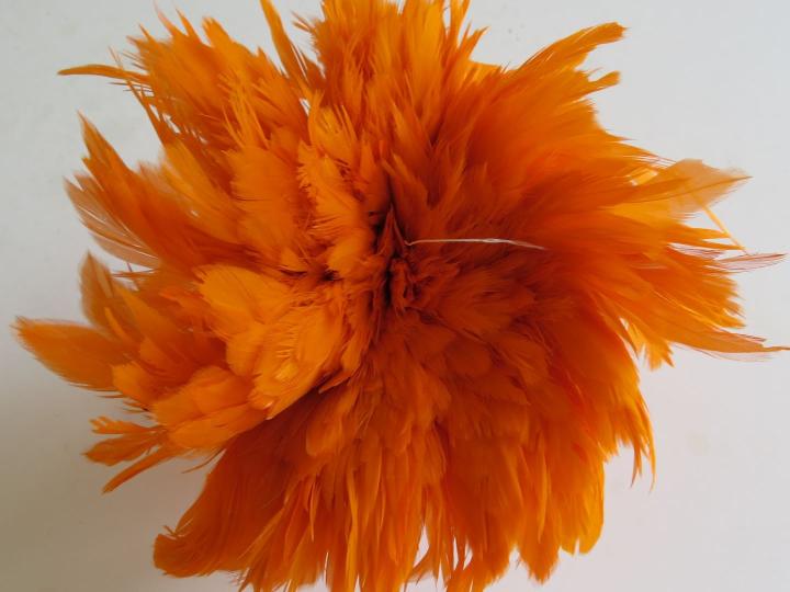 Orange Schlappen Strung Feathers Bulk