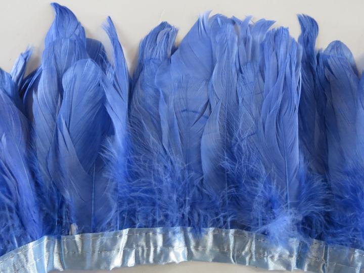 Cornflower Blue Nagorie Feathers Banded
