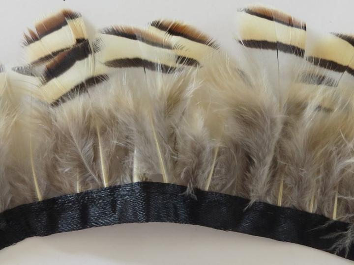 Partridge Feathers Banded