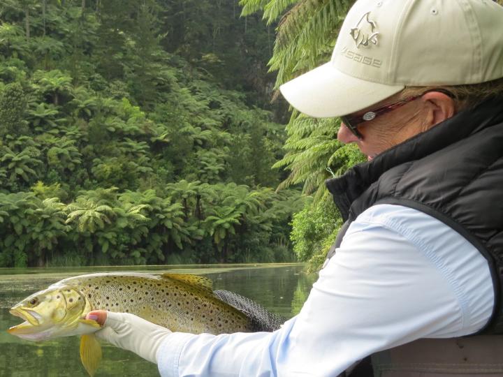 What a perfect setting for a picture of a brown trout