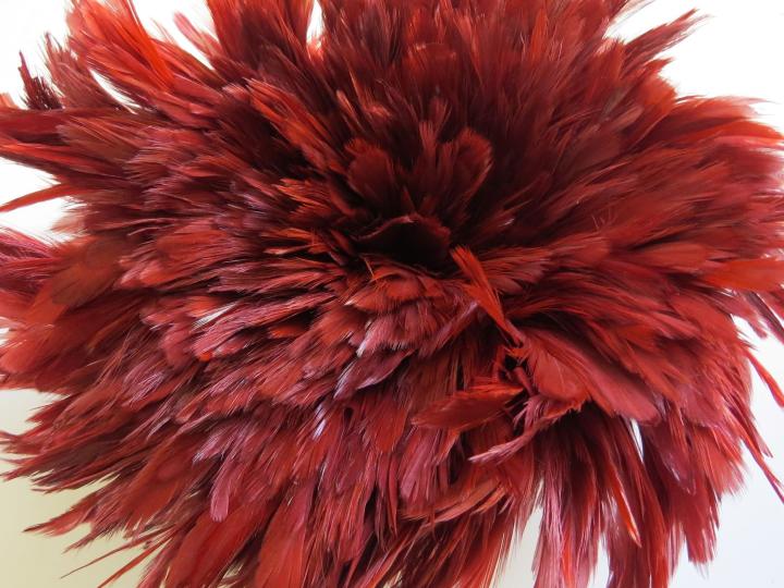 Crimson Schlappen Feathers Strung Bulk