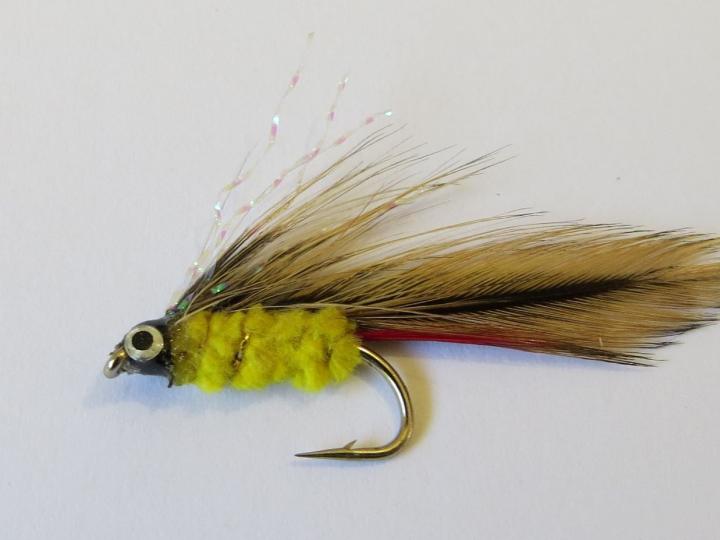 Parson's Glory Short Shanked Streamer Fly