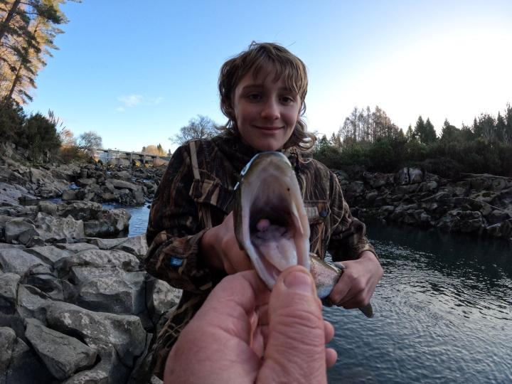 Champagne Glo Bug with a Fluorescent Yellow Dot in the Mouth of a Rainbow Trout