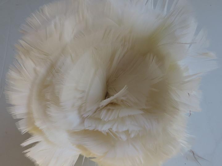 White Turkey Plumage Strung Bulk