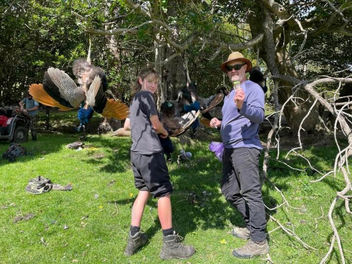 Jack and Dad processing down in the Cabbage Tree Block