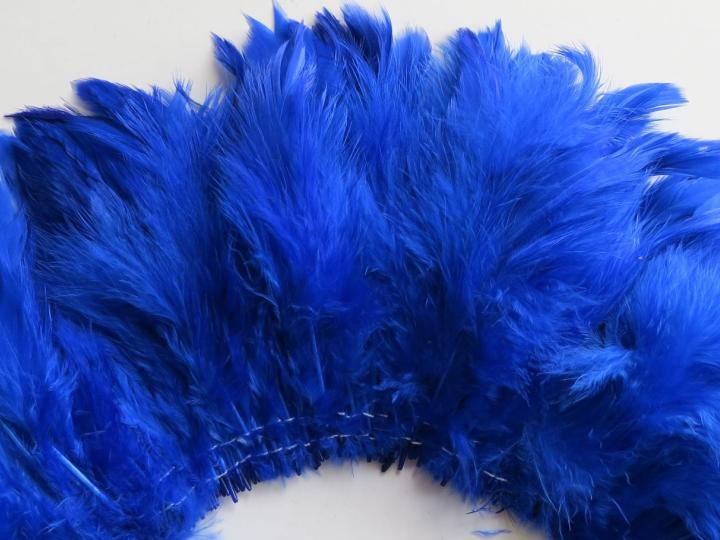 Roya blue strung schlappen feathers closeup