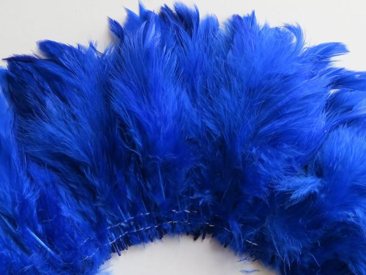 Roya blue strung schlappen feathers closeup