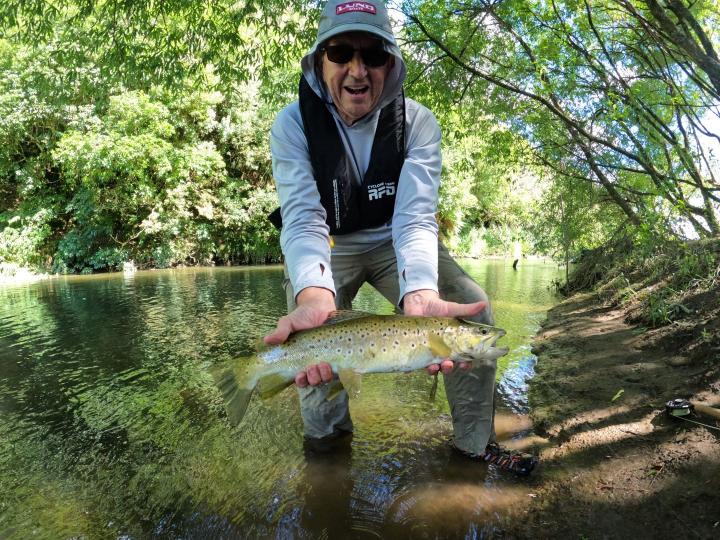 Brown on the elk hair caddis