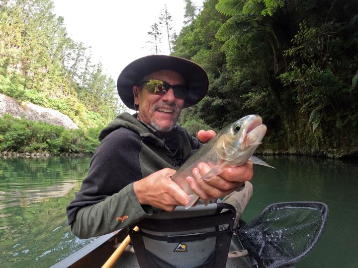 Rainbow on an Elk Hair Caddis