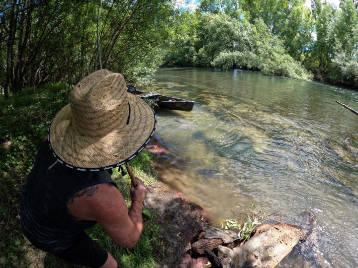 It is a beautiful stretch of river through Galatea