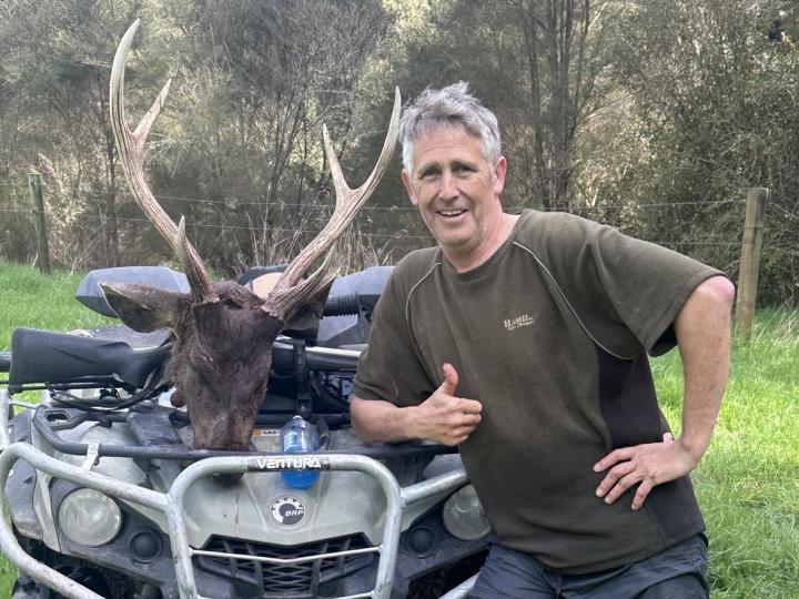Blair's sambar stag