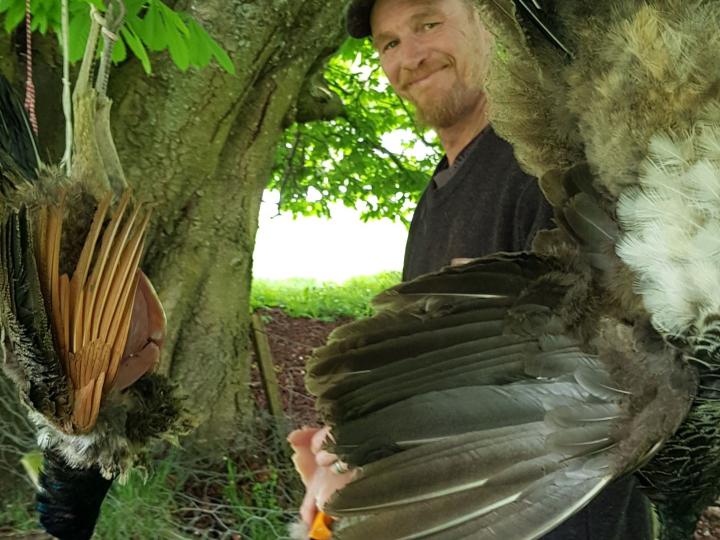 Dan butchered the birds