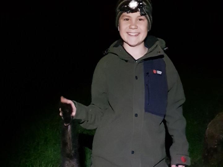 Possum at close range