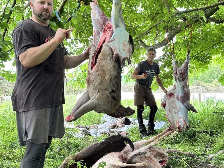 butchery