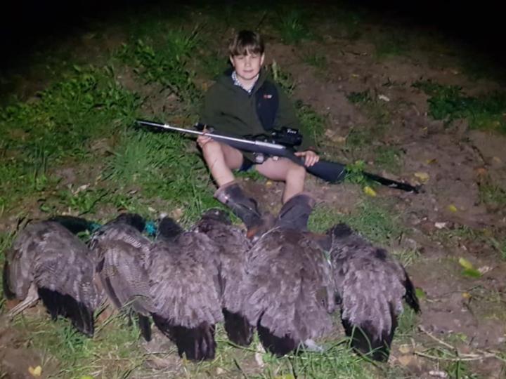 Kayden's first peafowl