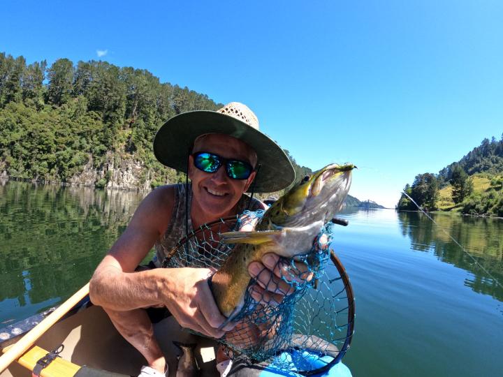 Olive woolly bugger with grizzly hackle