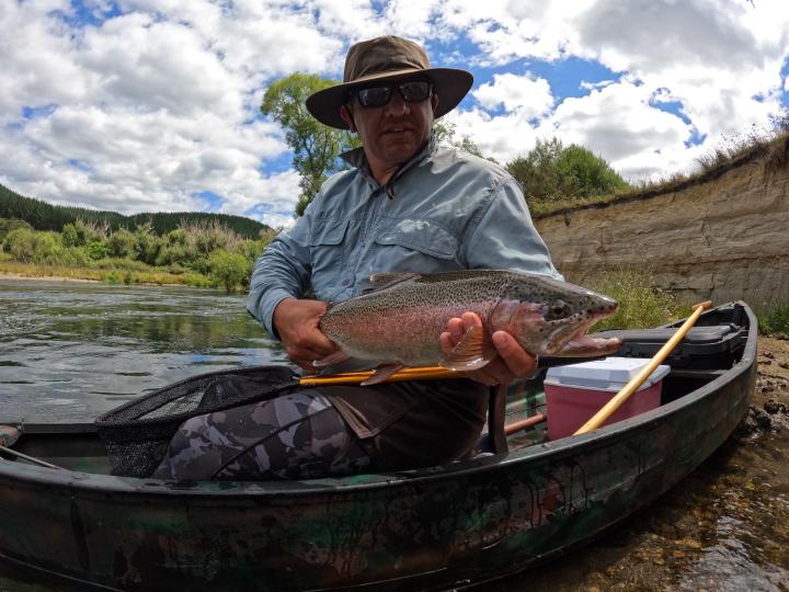 Rainbow on the bead head pheasant tail with rubber legs