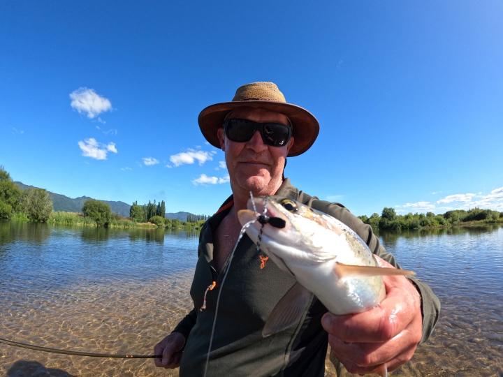 Fishing spider dry fly