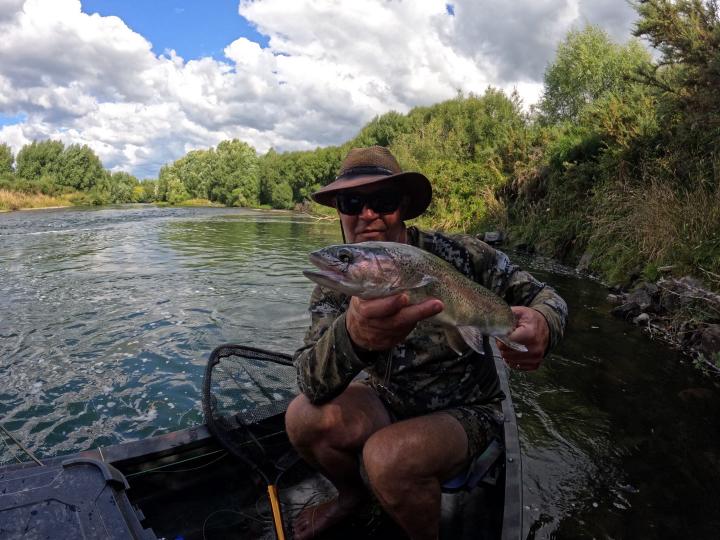Rainbow on a foam cicada dry fly