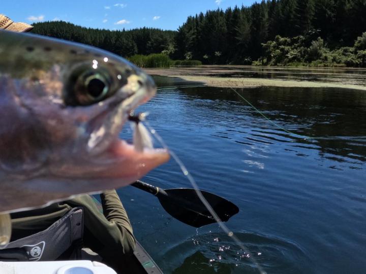 Dad's favourite parachute dry fly