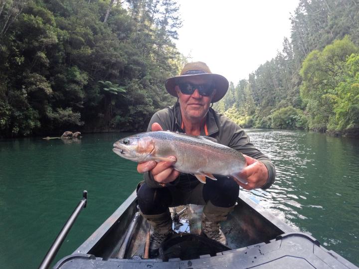 Rainbow on a blue blowfly dry fly