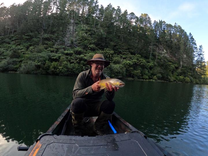 brown on a cone head krystal brown woolly bugger