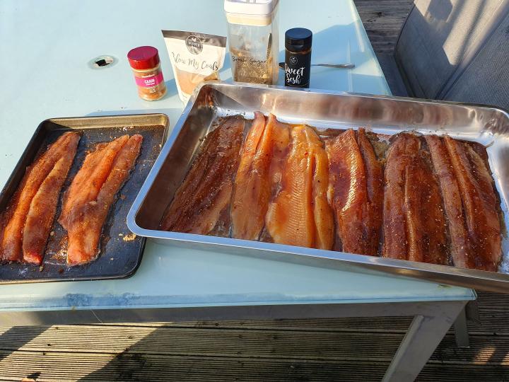 Trout fillets ready for smoking