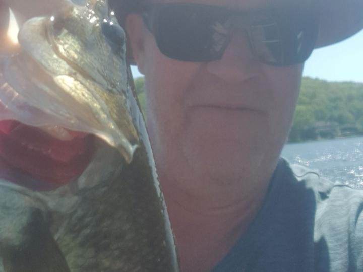 Large mouth bass on a cone head krystal olive woolly bugger